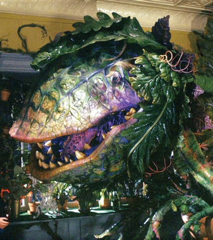 little-shop-of-horrors