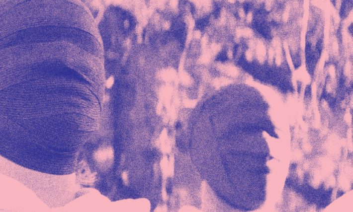 programme-hero-2-copy-scaled