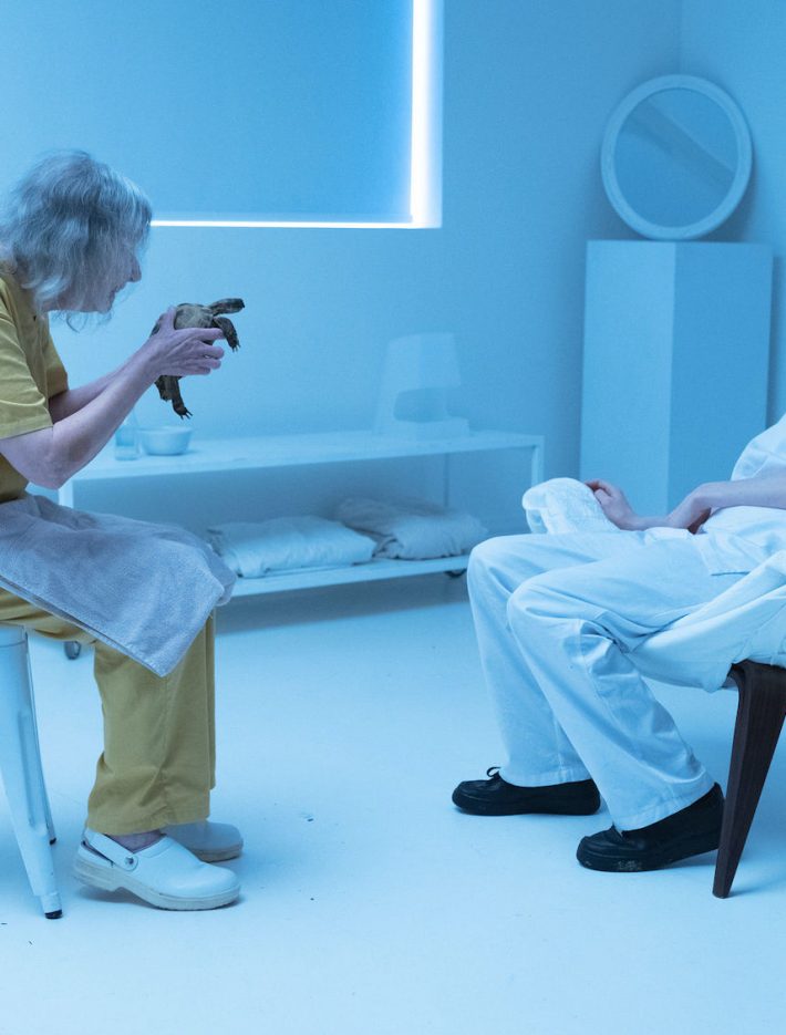 tortoise 1500 x 1130-min